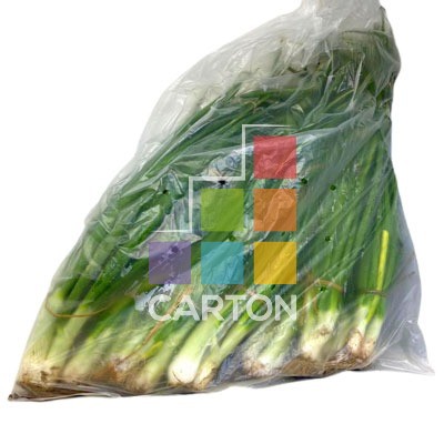 FRESH SCALLION - ONION LEAVES - 20 PCS